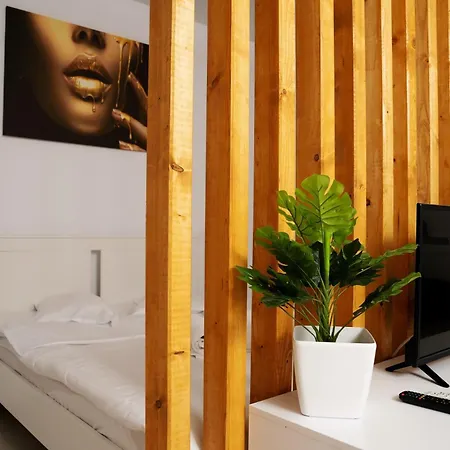 Unirii Studio Modern & Cozy New Residence *
